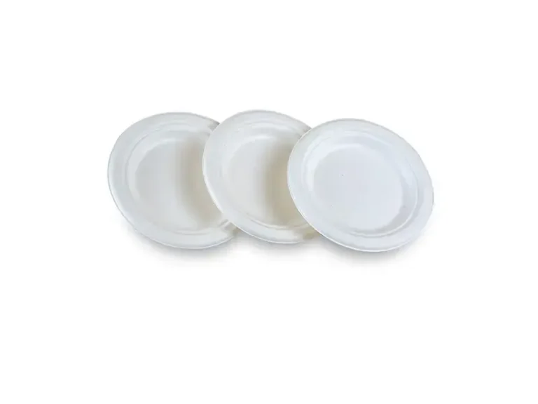 6 inch Bagasse Round Plate White