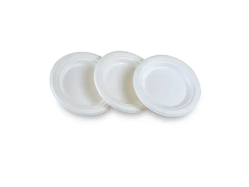 6 inch Bagasse Round Plate White