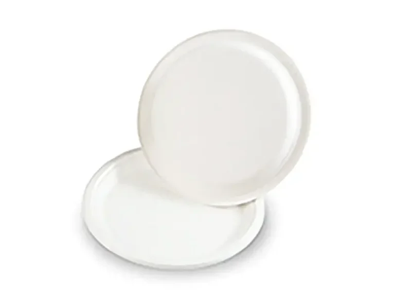 9 inch Bagasse Round Plate