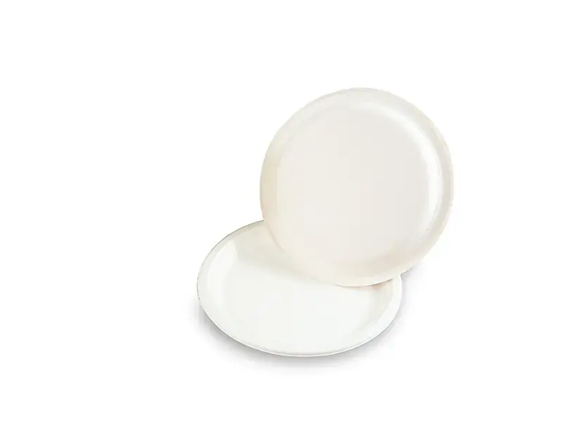 10 inch Bagasse Round Plate