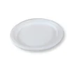10x7.5 inch Oval Bagasse Plate