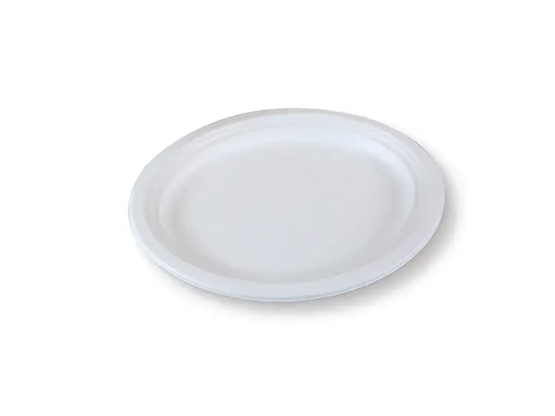 10x7.5 inch Oval Bagasse Plate