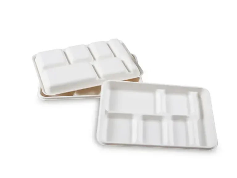 6 Compartment Bagasse Rectangle Tray