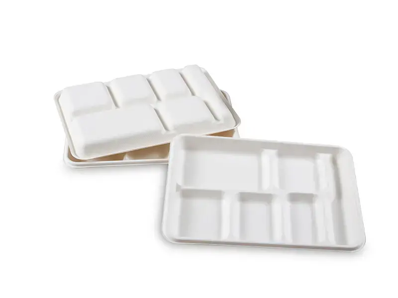6 Compartment Bagasse Rectangle Tray