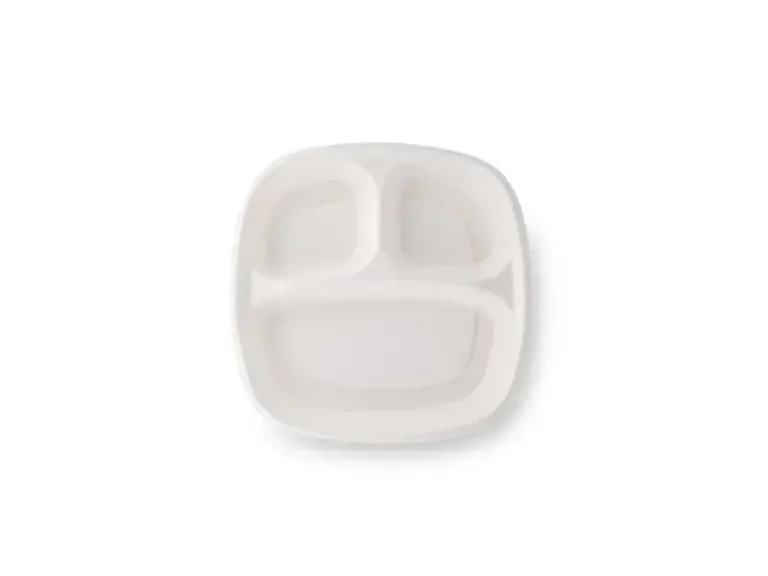 3 Compartment Bagasse Tray