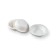 360ml 12 oz. Bagasse Bowl