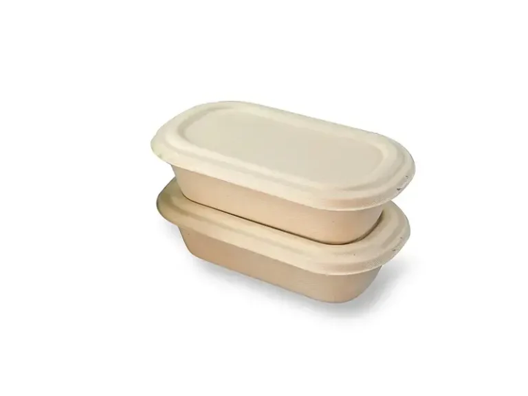 BB Salad Bagasse Bowl Lid Unbleached