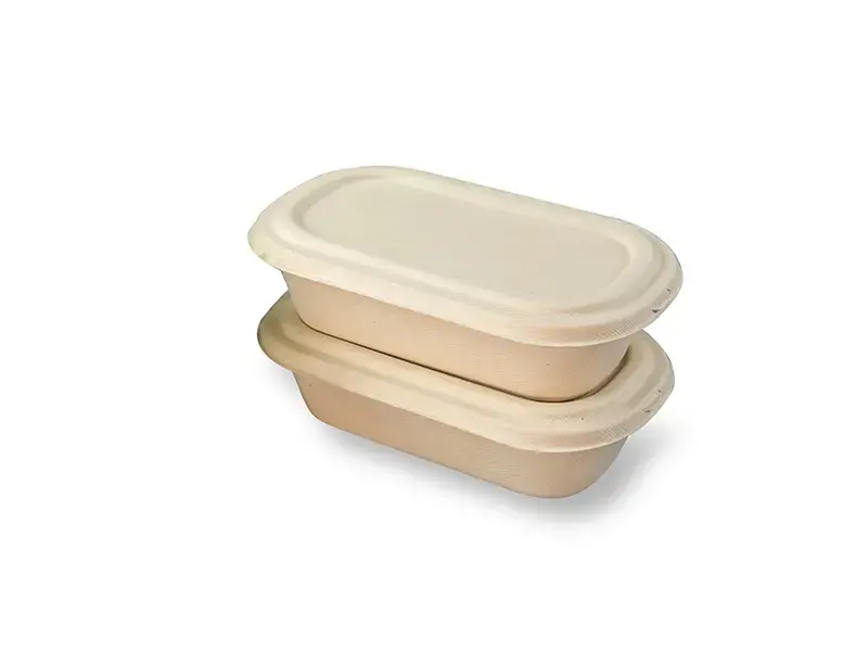 BB Salad Bagasse Bowl Lid Unbleached