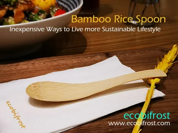 800x600-Bamboo-RiceSpoon