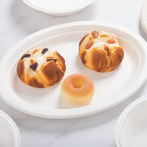 Bagasse Products