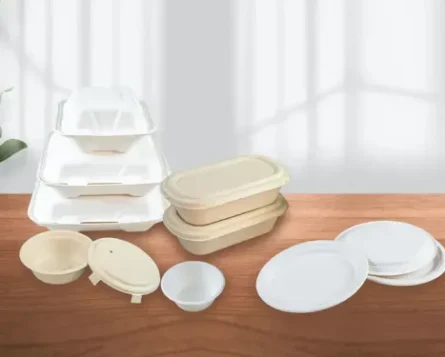 Bagasse Products